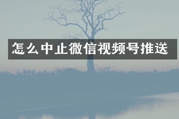 怎么中止微信视频号推送