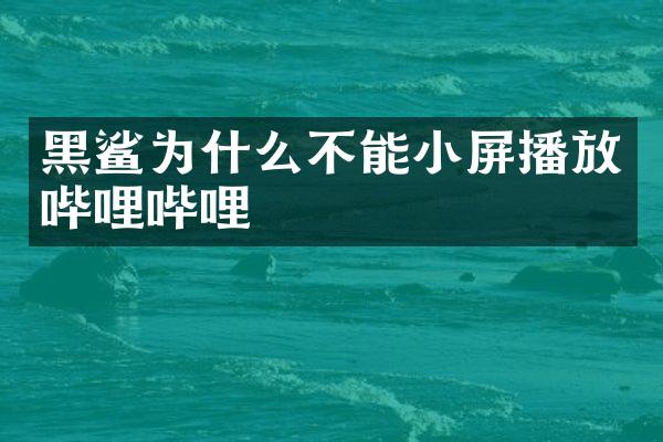 黑鲨为什么不能小屏播放哔哩哔哩