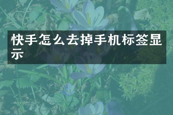 快手怎么去掉手机标签显示