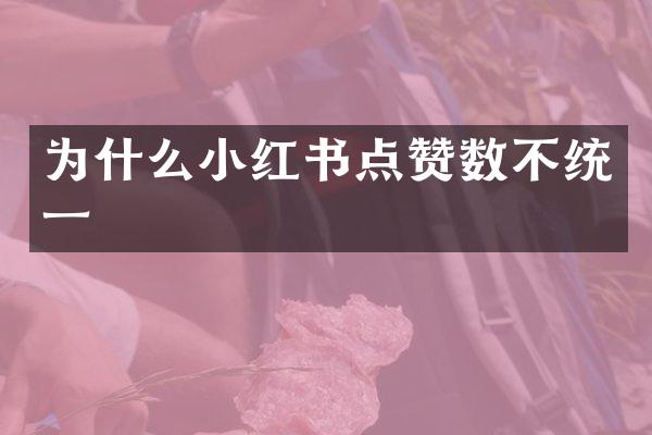 为什么小红书点赞数不统一