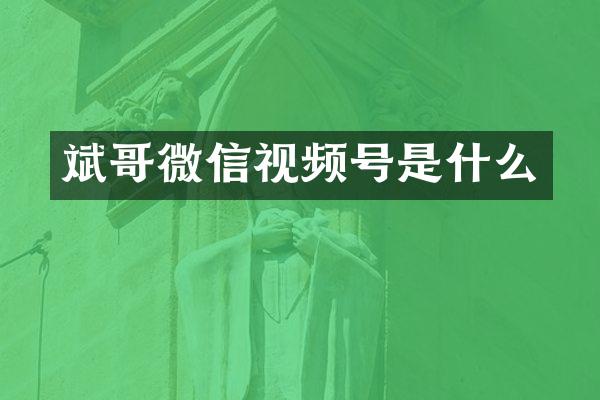 斌哥微信视频号是什么