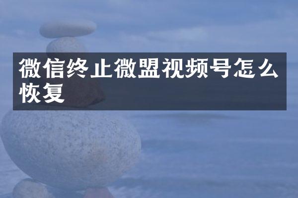 微信终止微盟视频号怎么恢复