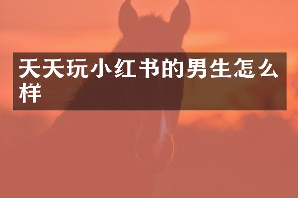 天天玩小红书的男生怎么样