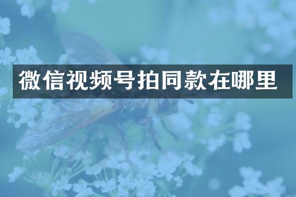 微信视频号拍同款在哪里