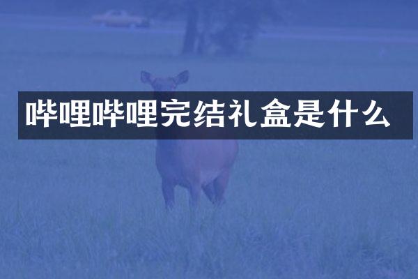哔哩哔哩完结礼盒是什么