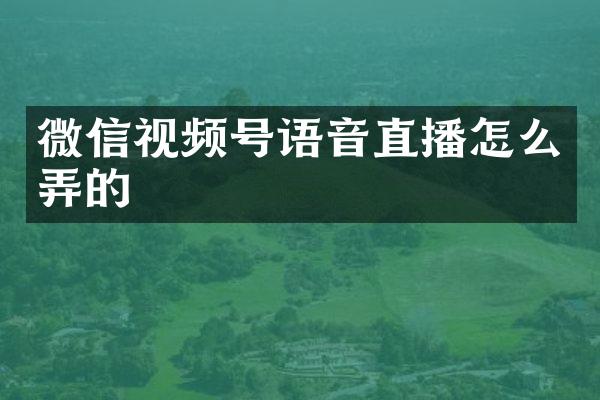 微信视频号语音直播怎么弄的