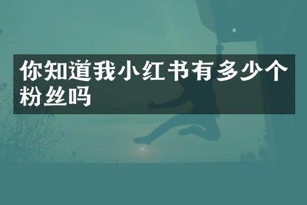 你知道我小红书有多少个粉丝吗