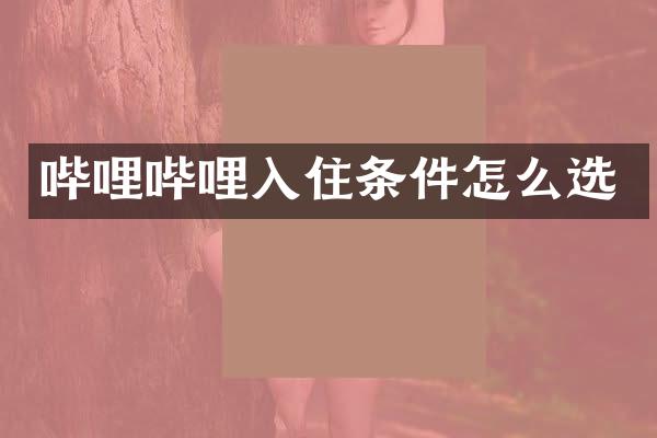 哔哩哔哩入住条件怎么选