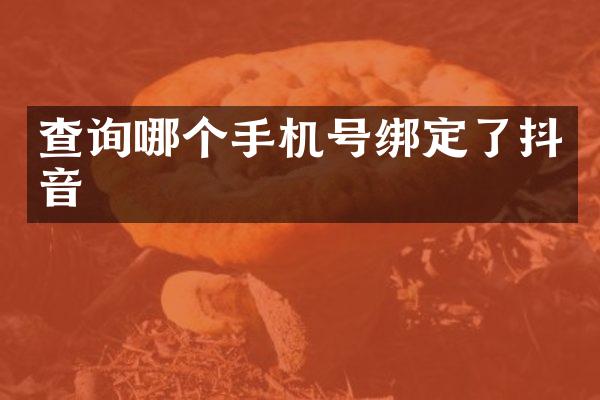 查询哪个手机号绑定了抖音