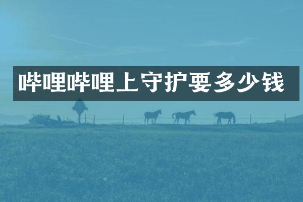 哔哩哔哩上守护要多少钱