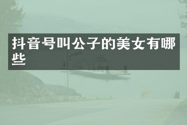 抖音号叫公子的有哪些