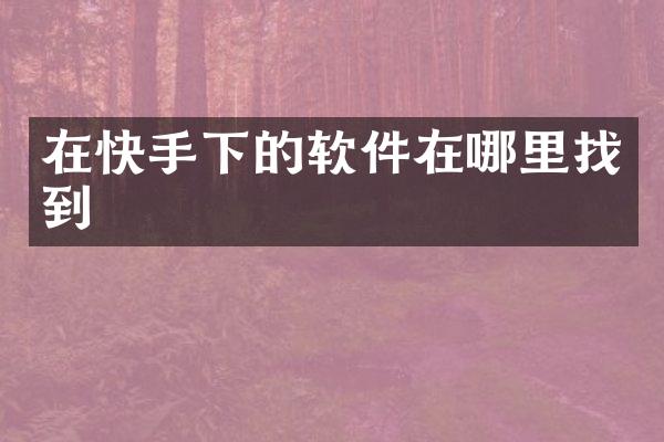 在快手下的软件在哪里找到