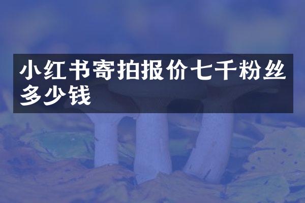小红书寄拍报价七千粉丝多少钱