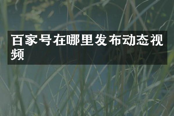 百家号在哪里发布动态视频