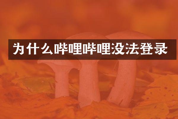 为什么哔哩哔哩没法登录