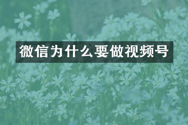 微信为什么要做视频号