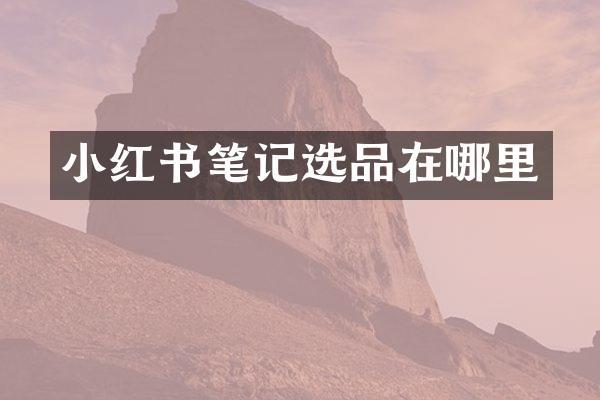 小红书笔记选品在哪里