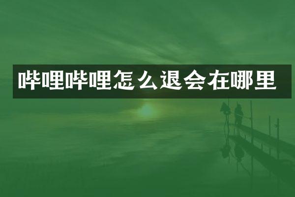 哔哩哔哩怎么退会在哪里