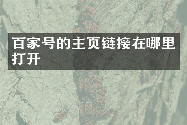 百家号的主页链接在哪里打开