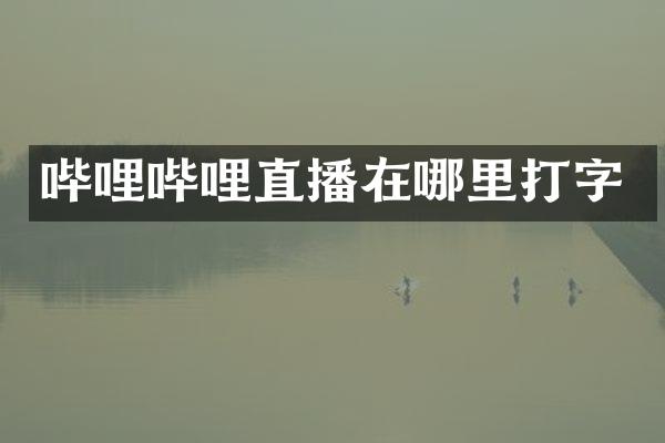 哔哩哔哩直播在哪里打字