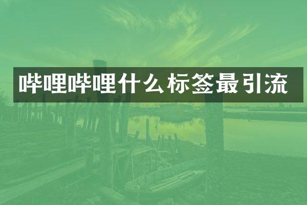 哔哩哔哩什么标签最引流
