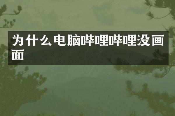 为什么电脑哔哩哔哩没画面