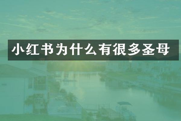 小红书为什么有很多圣母