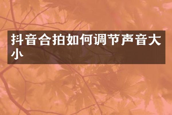 抖音合拍如何调节声音大小