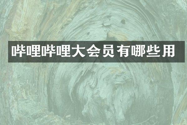 哔哩哔哩大会员有哪些用