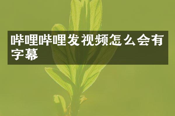 哔哩哔哩发视频怎么会有字幕
