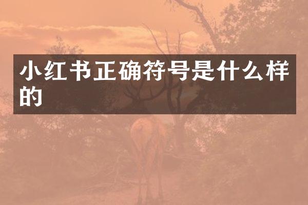 小红书正确符号是什么样的
