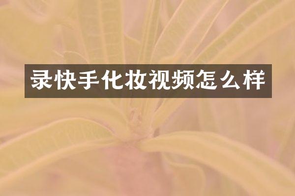 录快手化妆视频怎么样