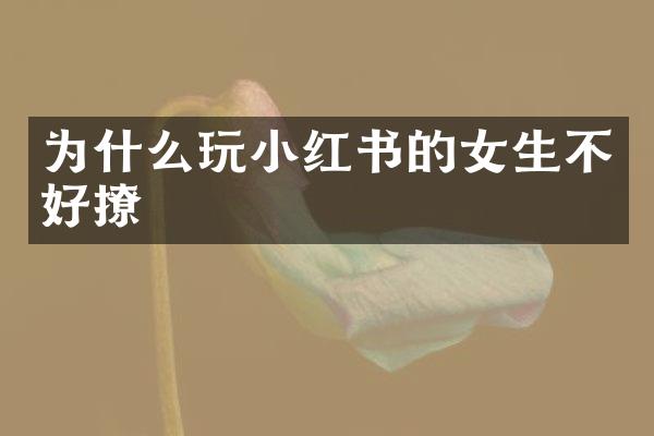 为什么玩小红书的女生不好撩