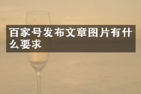 百家号发布文章图片有什么要求