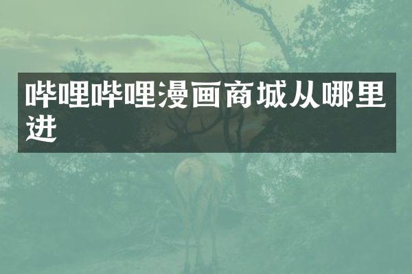 哔哩哔哩漫画商城从哪里进