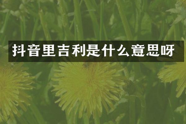 抖音里吉利是什么意思呀
