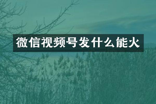 微信视频号发什么能火