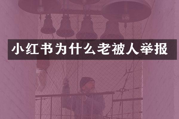小红书为什么老被人举报