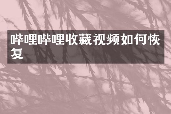 哔哩哔哩收藏视频如何恢复