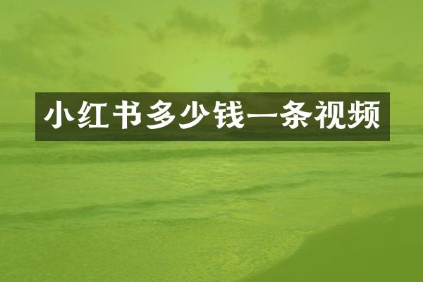 小红书多少钱一条视频