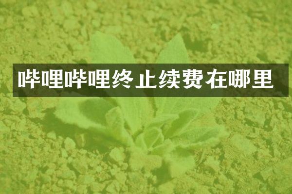 哔哩哔哩终止续费在哪里