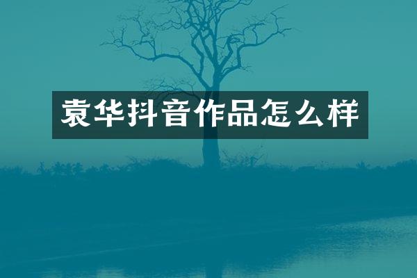 袁华抖音作品怎么样