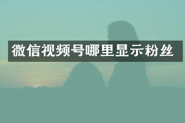 微信视频号哪里显示粉丝