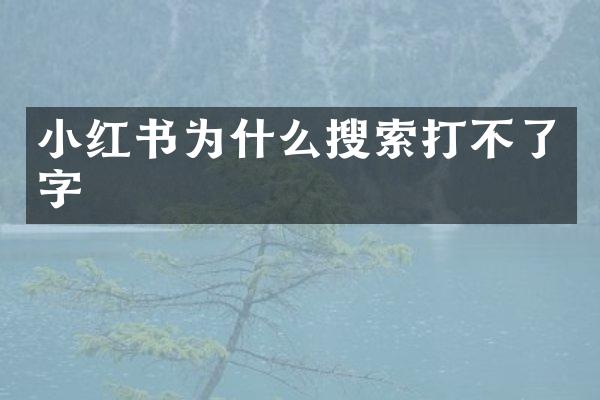 小红书为什么搜索打不了字