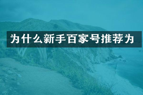 为什么新手百家号推荐为