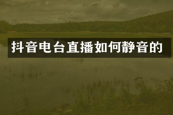 抖音电台直播如何静音的