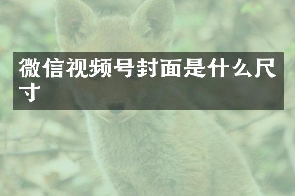 微信视频号封面是什么尺寸