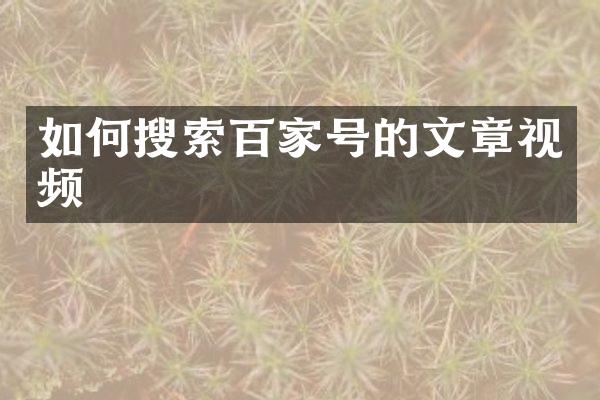 如何搜索百家号的文章视频