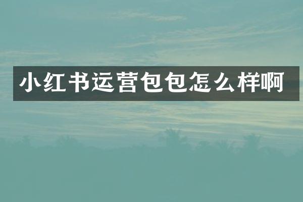 小红书运营包包怎么样啊
