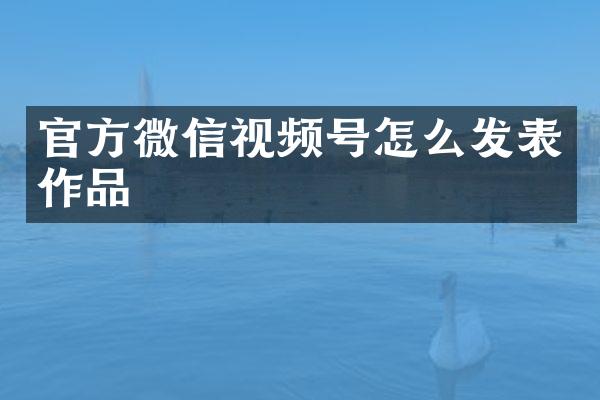 官方微信视频号怎么发表作品